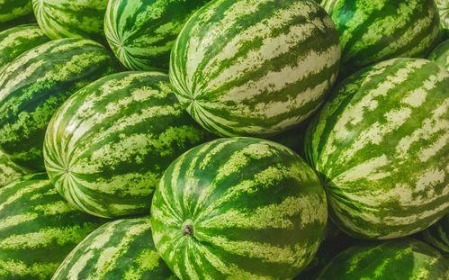 吃瓜是什么意思.吃瓜爆料短剧吃瓜爆料大赛每日聚集地,吃瓜爆料短剧大赛，每日热点聚集地